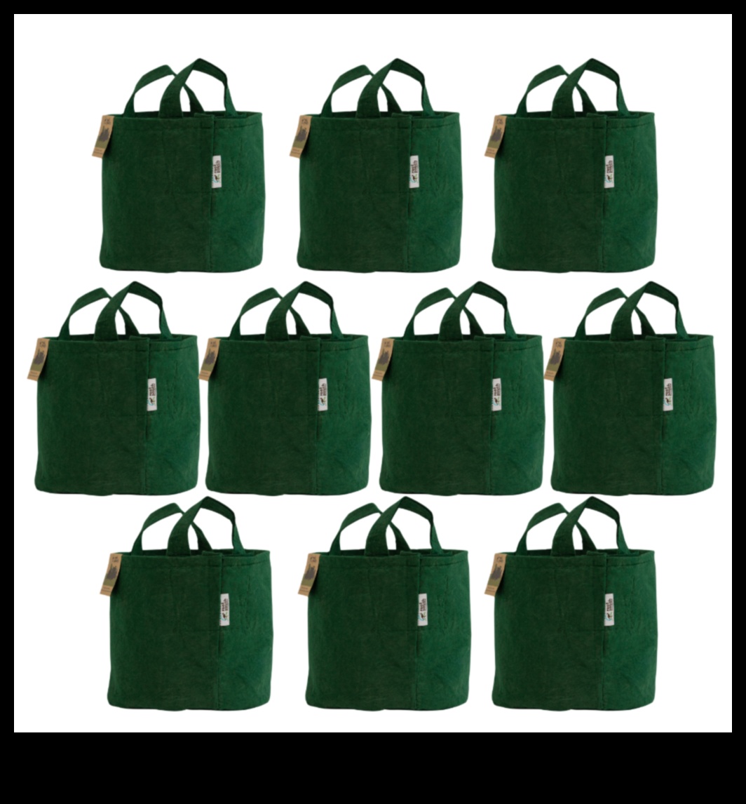 Zaļais audekls: kur idejas pārtop videi draudzīgā realitātē