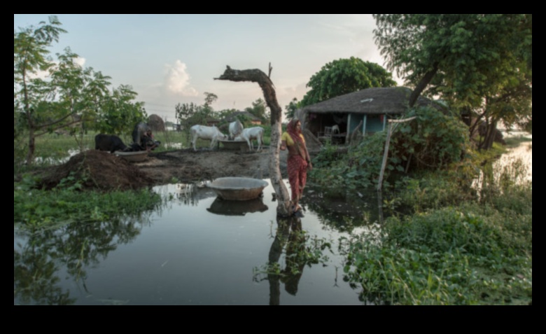 Lauku realitāte: lauku šarmu tveršana fotogrāfijā