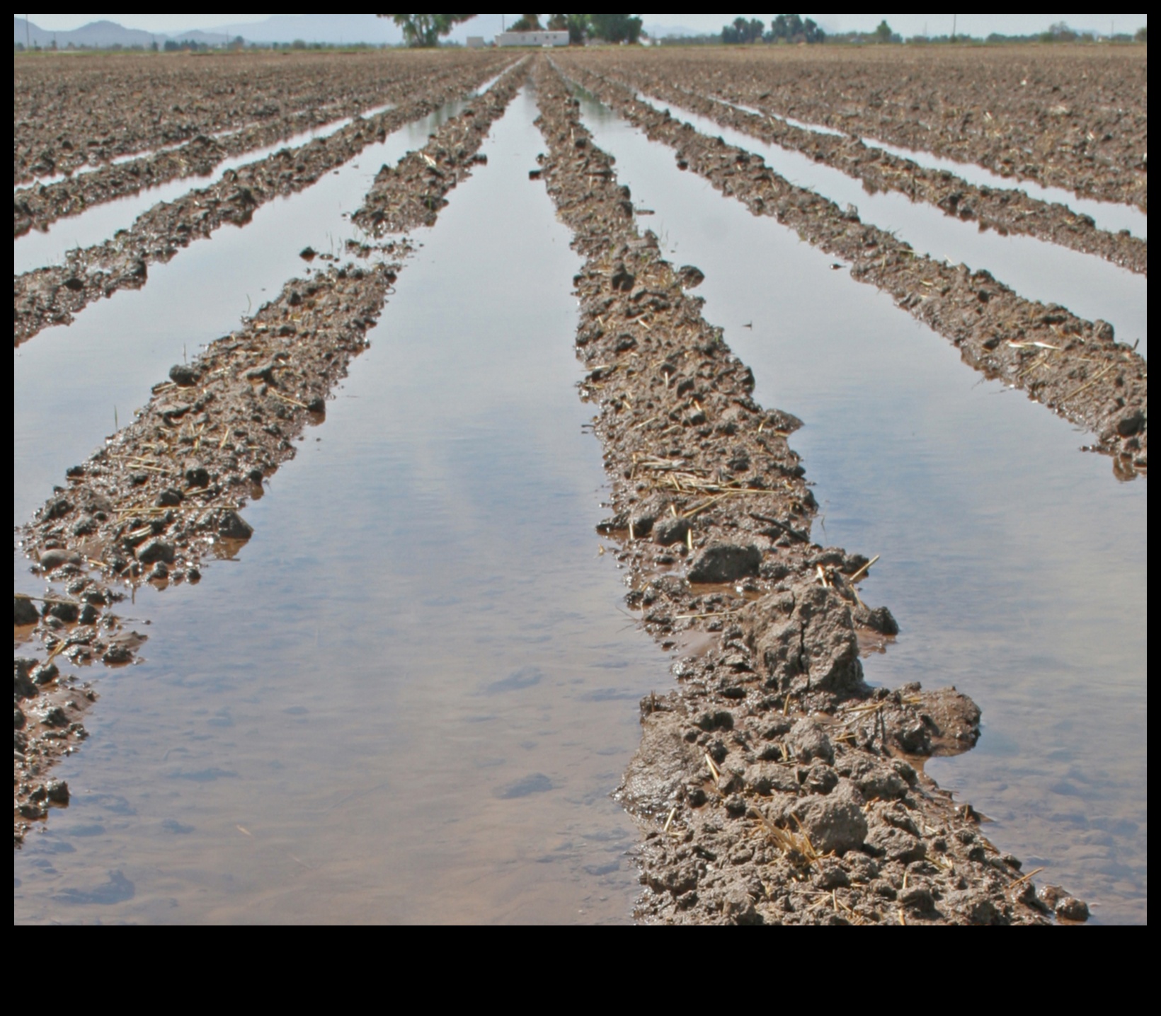 Izturības veidošana: stratēģijas, lai cīnītos pret uzturvielu deficītu
