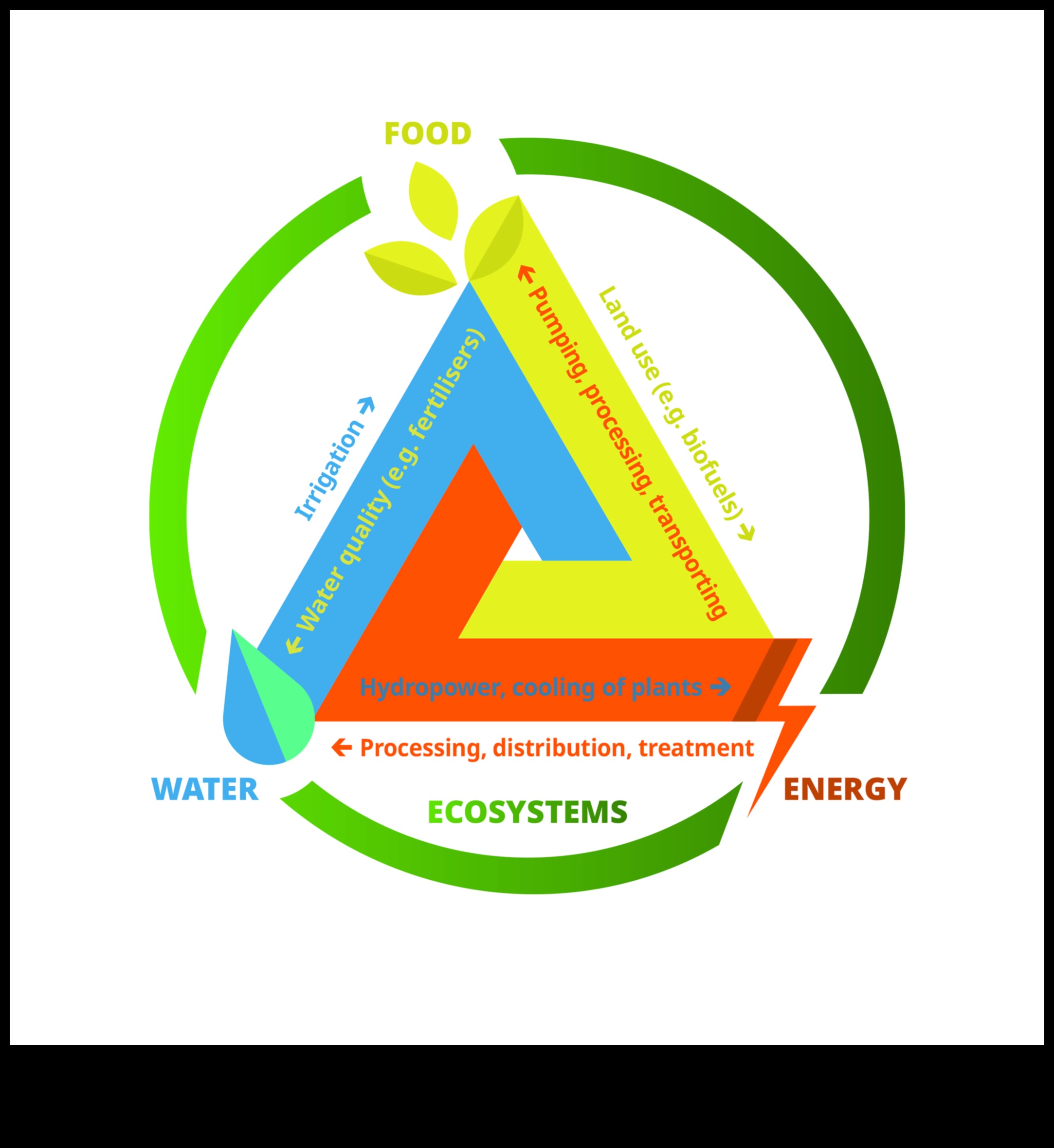 Uzturvielu saistība: atšķirību pārvarēšana līdz holistiskajai labsajūtai
