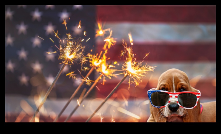 Bailes no uguņošanas: mājdzīvnieku trauksmes pārvarēšana skaļu svētku laikā