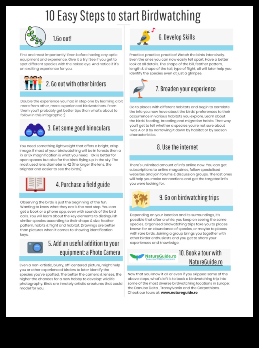 Birding Hacks: padomi un triki, lai uzlabotu putnu vērošanas pieredzi
