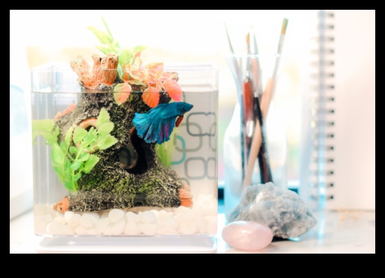 Zivju tvertņu dekorēšana DIY: izveidojiet savām zivīm unikālu vidi