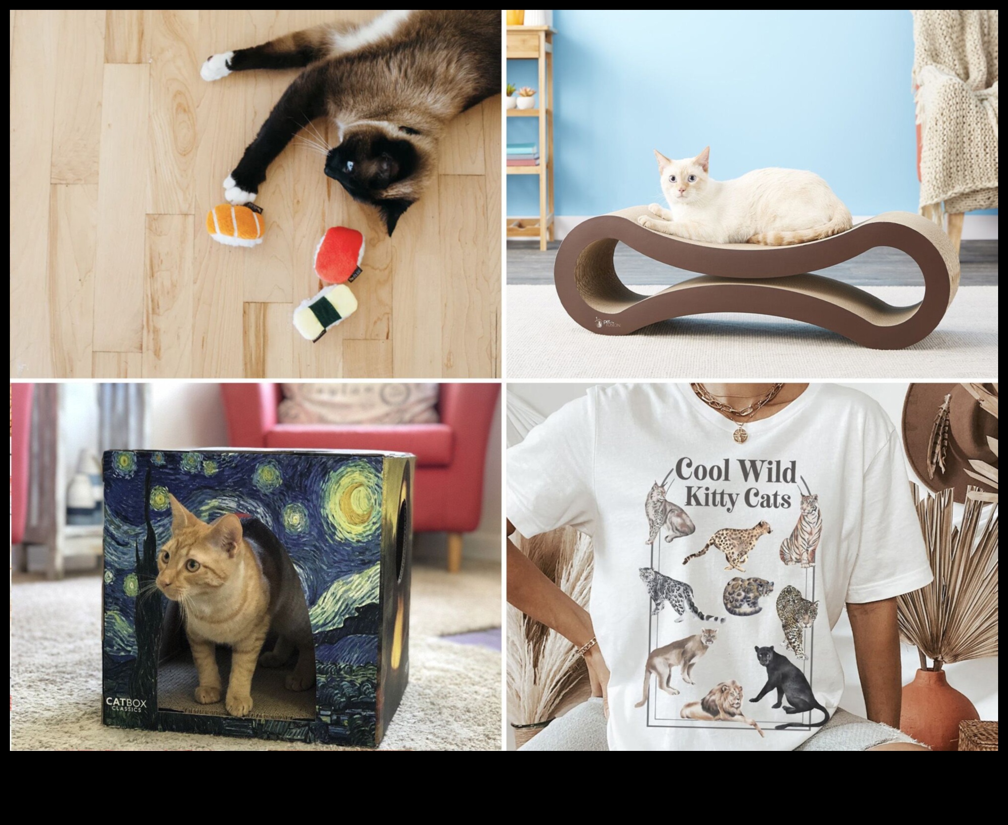 Kaķu karnevāls DIY: plānojiet savam kaķim kādu pasākumu ar ķepu