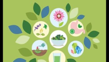 Gudra izvēle, veselīgs dzīvesveids: ceļvedis uztura spožumam