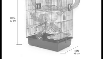 Hamster Dens: daudzlīmeņu būru sistēmu iestatīšanas māksla