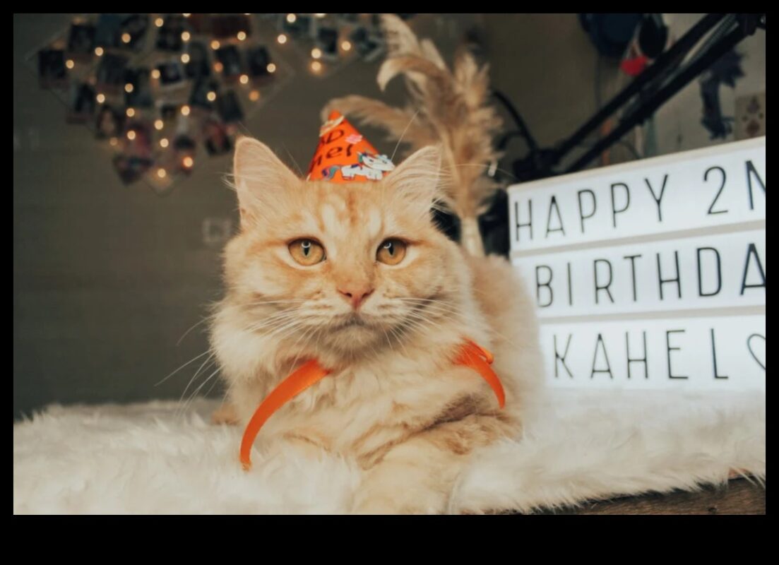 Kaķu karnevāls DIY: plānojiet savam kaķim kādu pasākumu ar ķepu