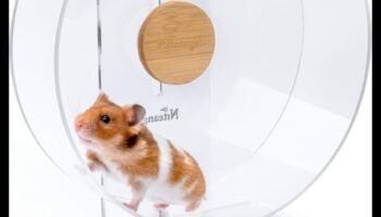 Kāmja riteņu drošība Turpinājums: balansēšanas rotācijas mehānismi