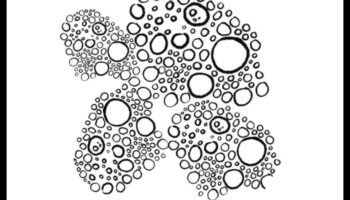 Pieskarama māksla: zīmējumu veidošana ar taustāmu tekstūru