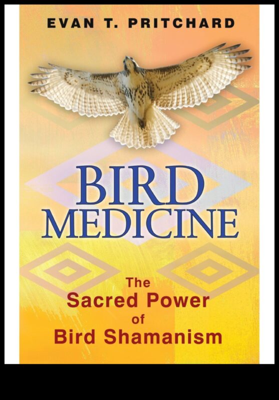 Putni un tautas medicīna Turpinājums: vēsturiski lietojumi un uzskati