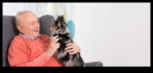 Vecākā kucēna uzmanības centrā: rūpes par novecojošiem suņu pavadoņiem