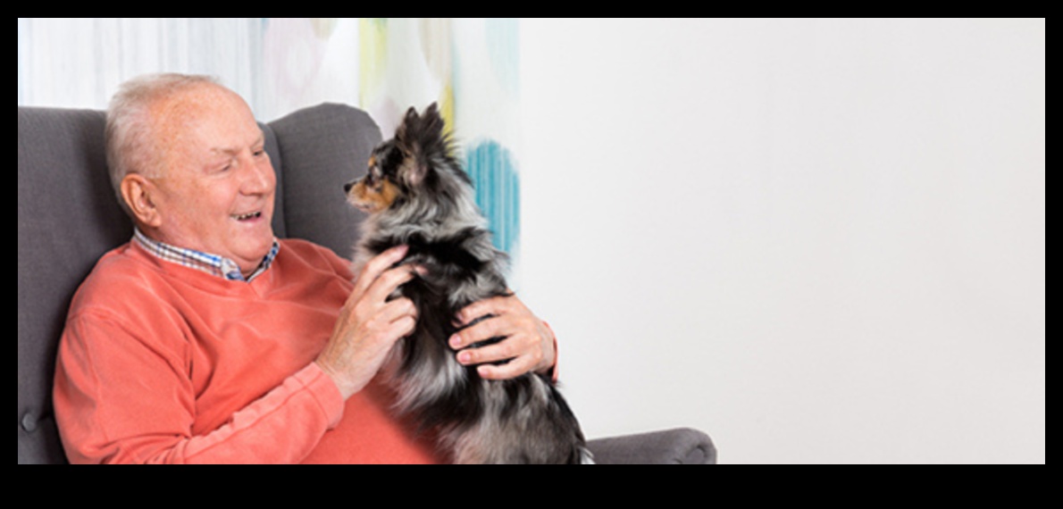 Vecākā kucēna uzmanības centrā: rūpes par novecojošiem suņu pavadoņiem