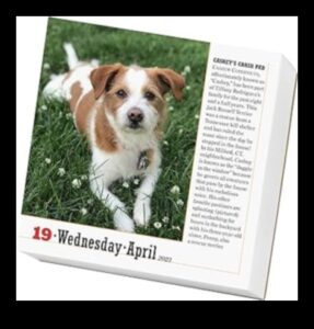 Suņu kalendāra turpinājums: Suņu svinēšana katru mēnesi