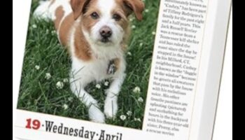 Suņu kalendāra turpinājums: Suņu svinēšana katru mēnesi