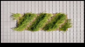 Zaļais audekls: kur idejas pārtop videi draudzīgā realitātē