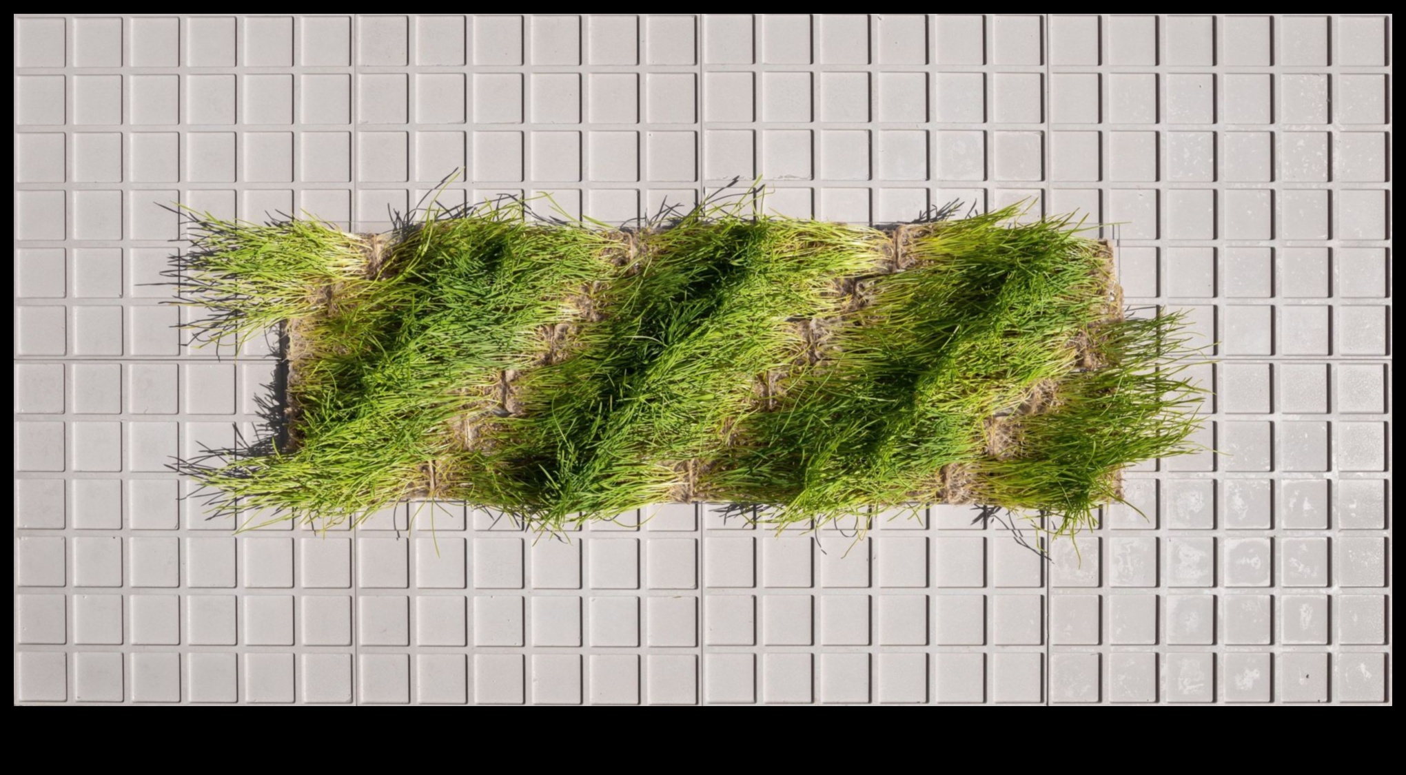 Zaļais audekls: kur idejas pārtop videi draudzīgā realitātē