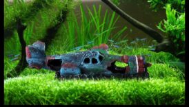 Zivju tvertņu dekorēšana DIY: izveidojiet savām zivīm unikālu vidi